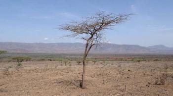 How to arrest perennial starvation