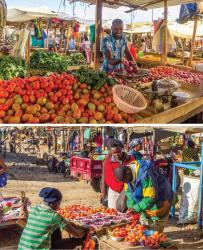 How Weights & Measures Directorate Effects Protection of Consumer Rights