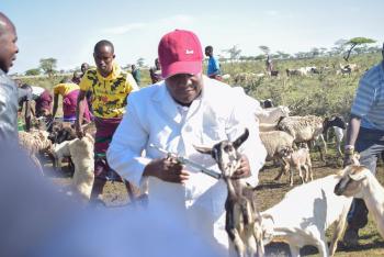 Mass Vaccination Of Livestock In Sosian Ward At Namojong and Lorera Area